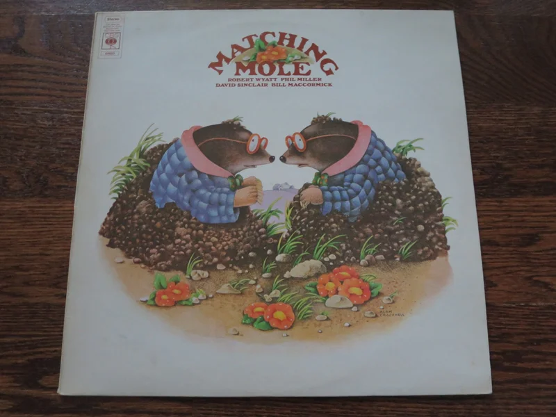 Matching Mole - Matching Mole