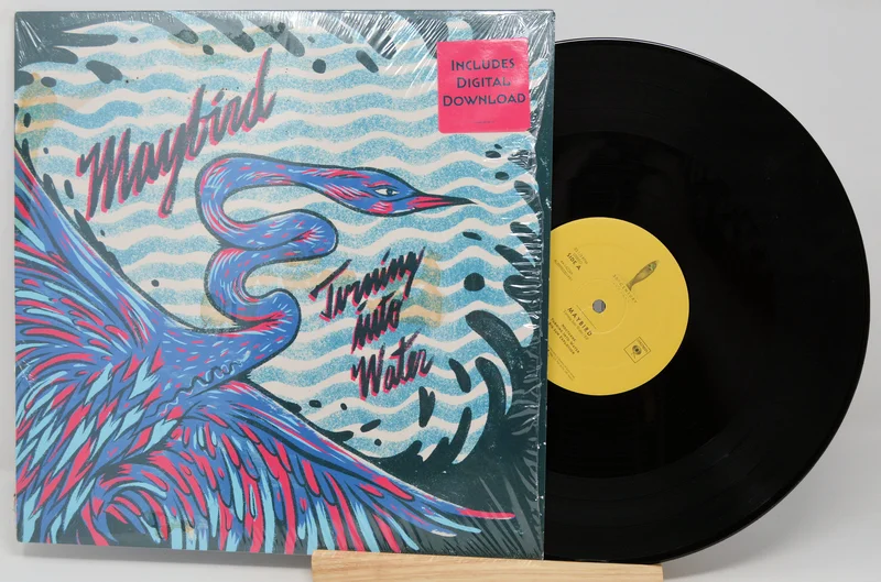 Maybird - Turning Into Water