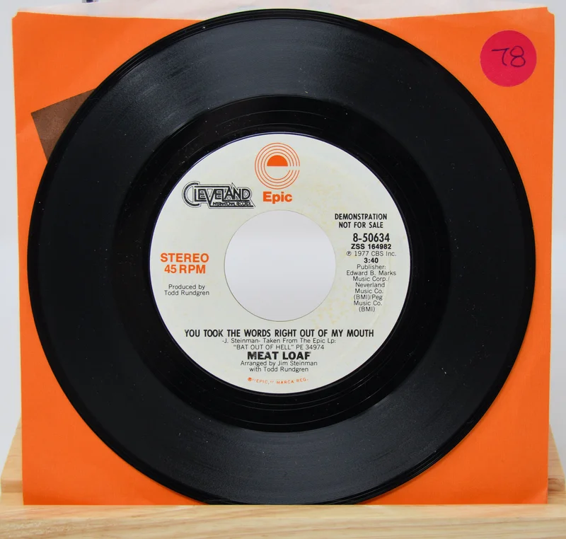 Meat Loaf - You Took The Words