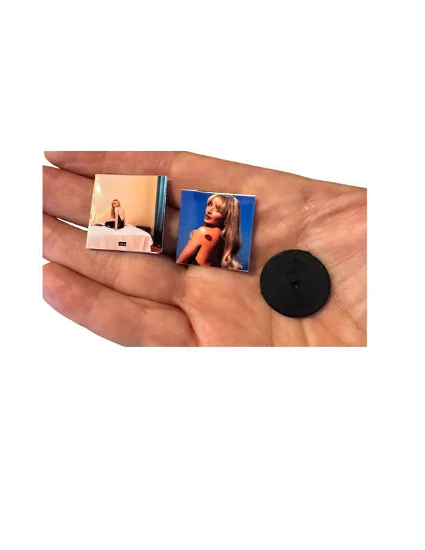 Mini Sabrina Carpenter Vinyl Albums with Mini Records Fan Gift Dollhouse Miniature