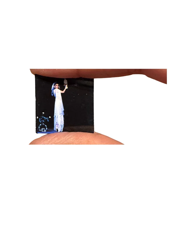 Miniature Stevie Nicks Vinyl Records  1:12 Scale Dollhouse Music Decor