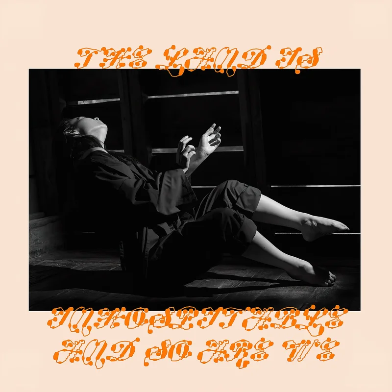 Mitski - The Land Is Inhospitable And So Are We [Black Vinyl LP]