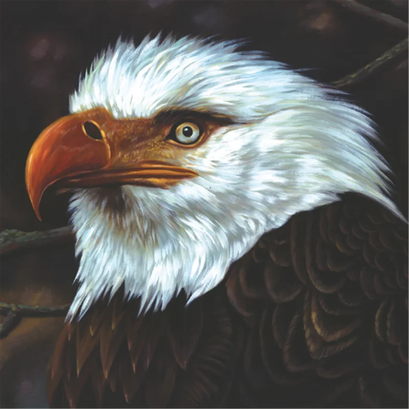 Mogwai - The Hawk Is Howling (15th Anniversary)
