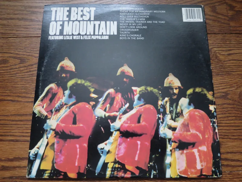 Mountain - The Best of Mountain 2two