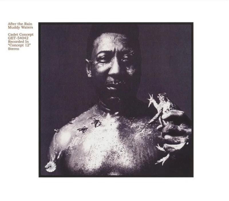 Muddy Waters | After The Rain (New)