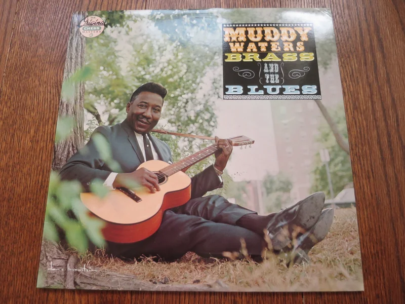Muddy Waters - Brass and the Blues