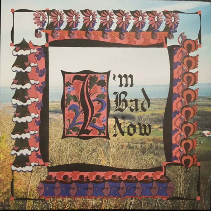 Nap Eyes-I'm Bad Now LP