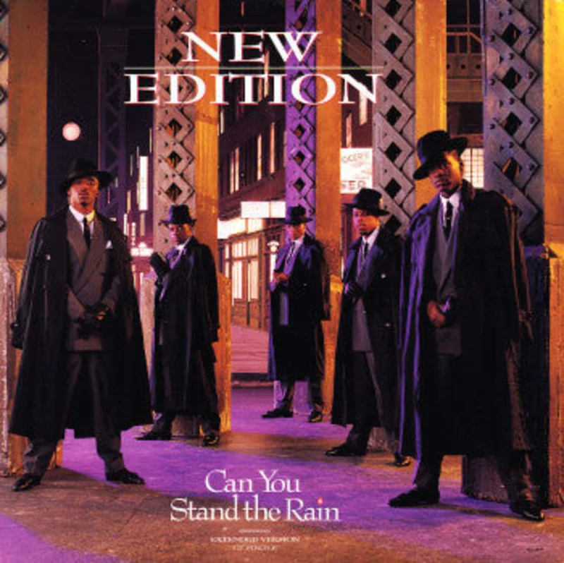 New Edition-Can You Stand The Rain (Extended Version) 12" Single