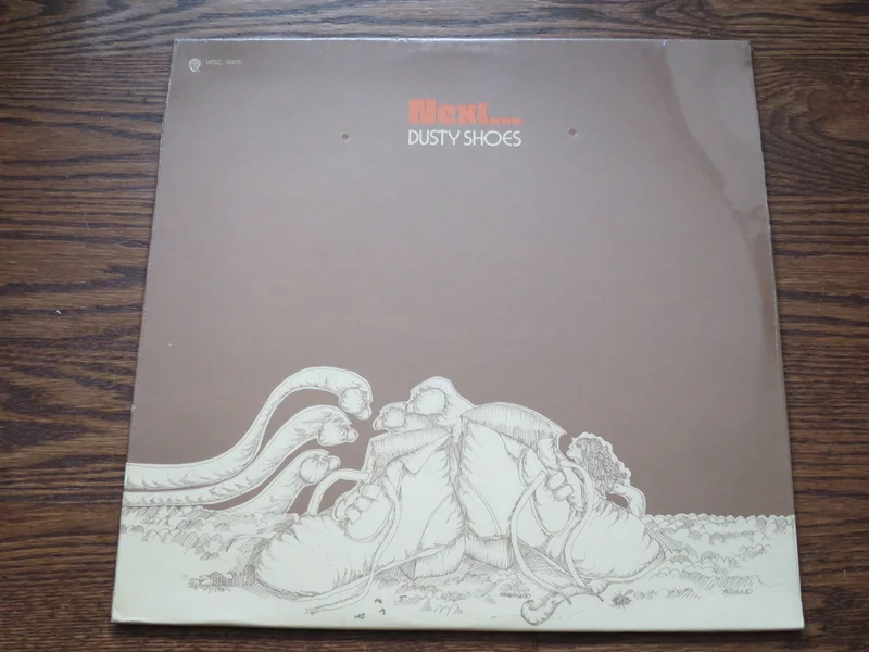 Next - Dusty Shoes