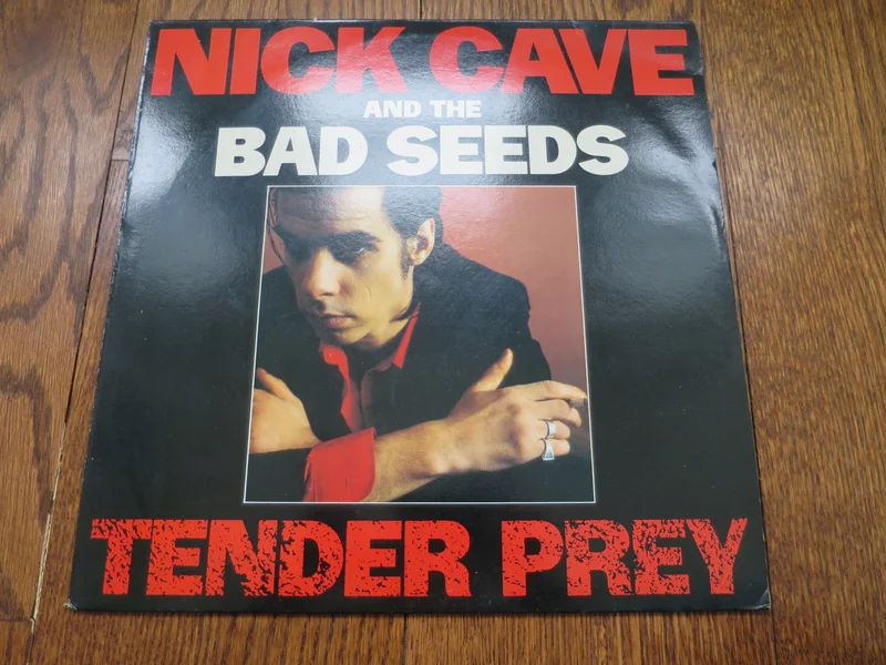 Nick Cave & The Bad Seeds - Tender Prey