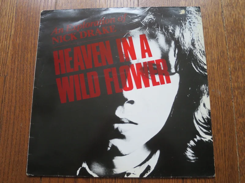 Nick Drake - Heaven In A Wild Flower