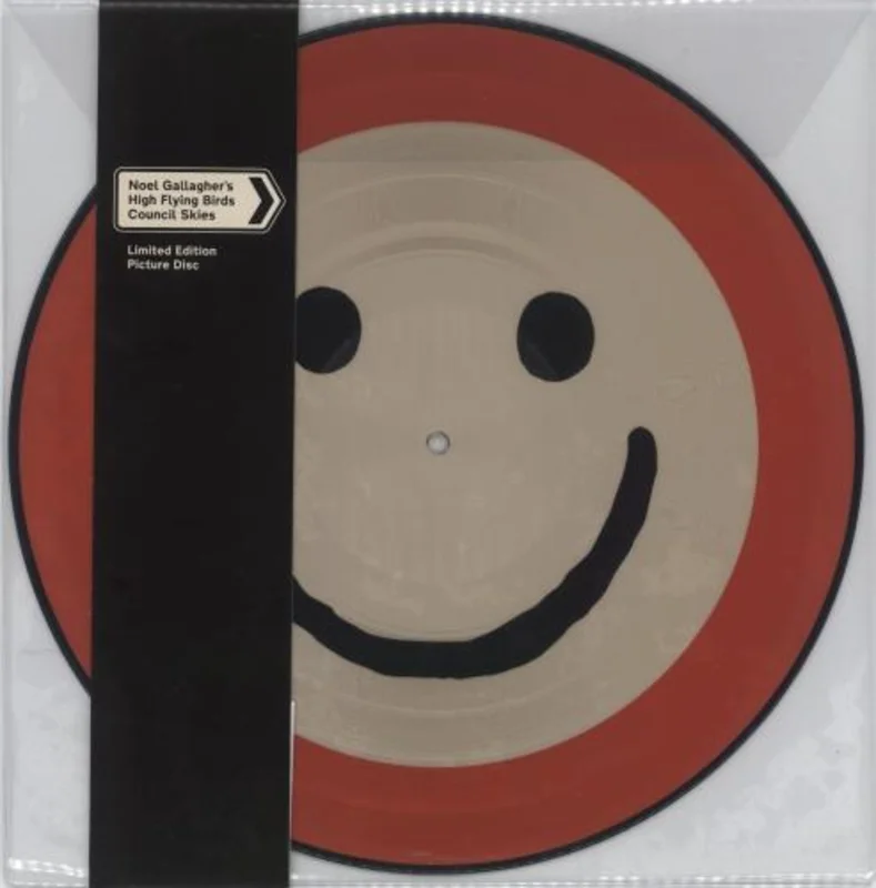 Noel Gallagher's High Flying Birds Council Skies Lp (Ltd Picture Disc)