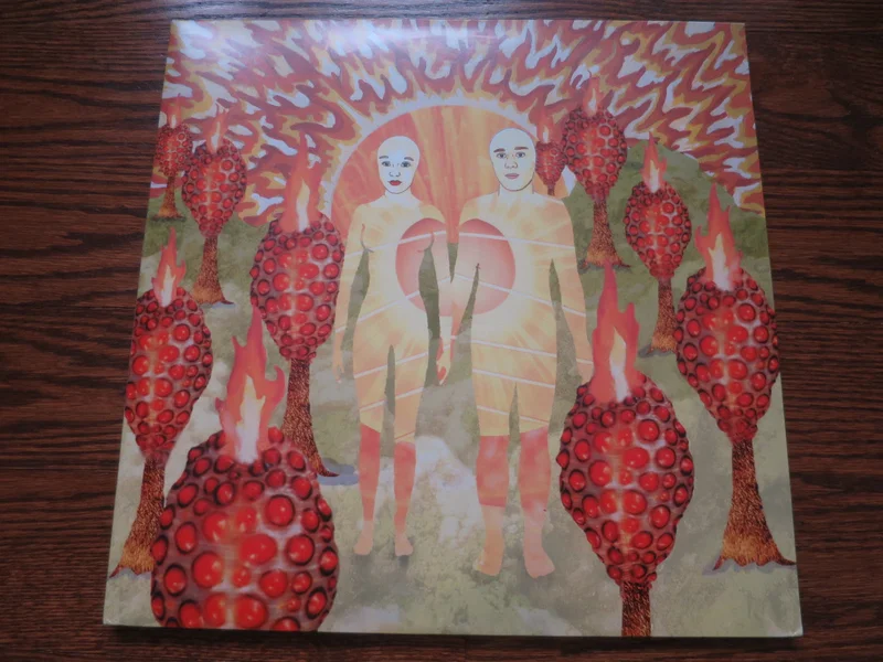 Of Montreal - Sunlandic Twins
