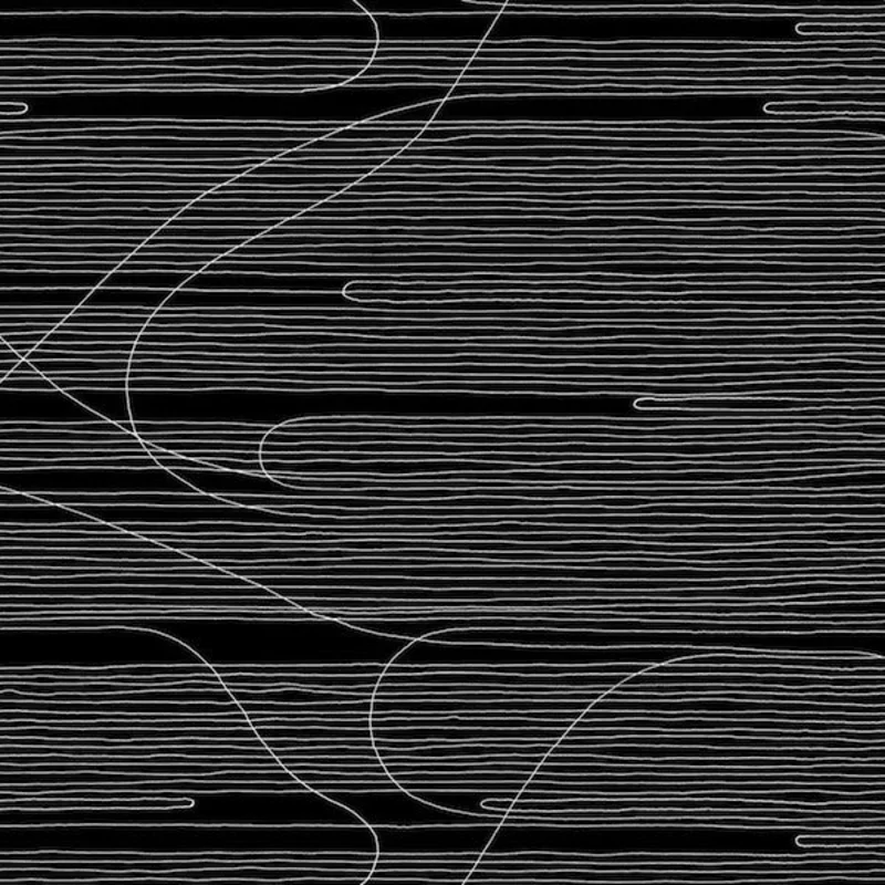 Oneida | Absolute II (New)