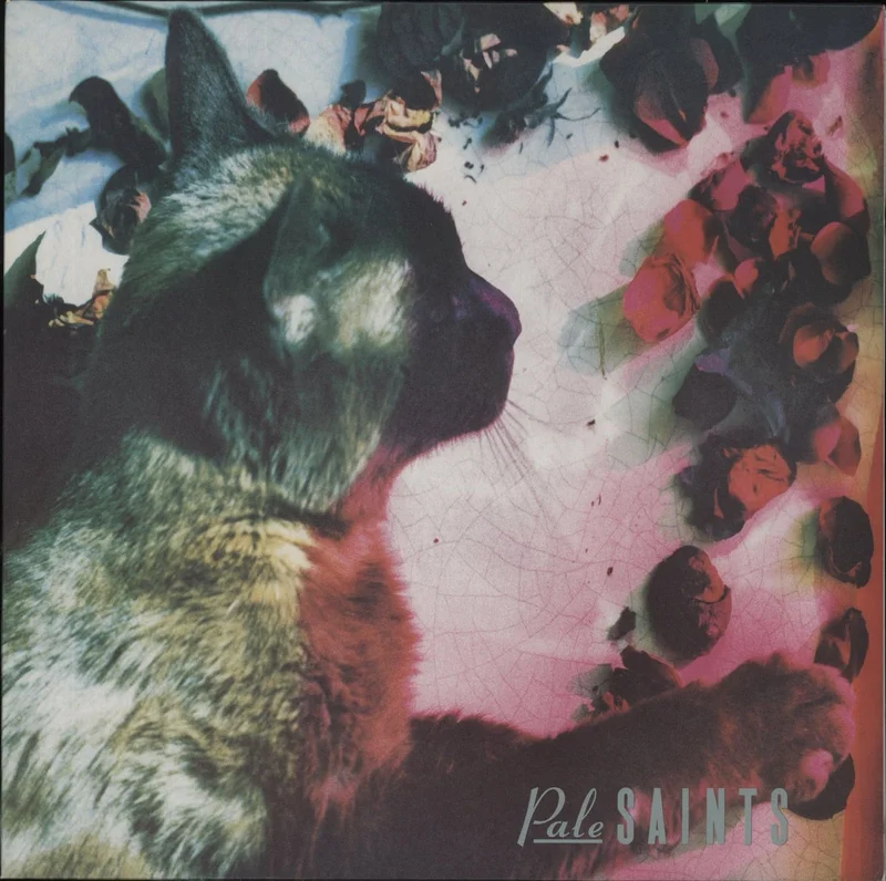 Pale Saints The Comforts Of Madness UK Vinyl LP