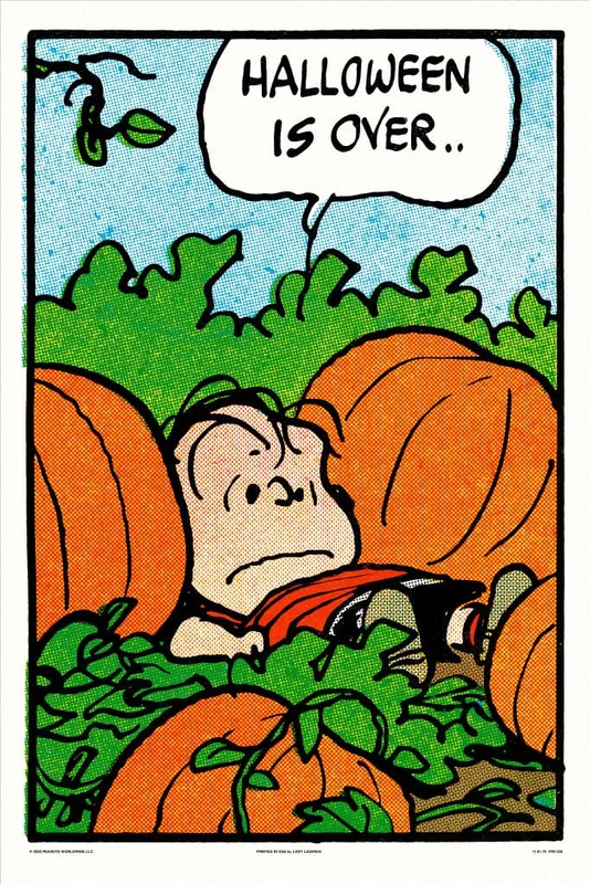 Peanuts Halloween Is Over Poster