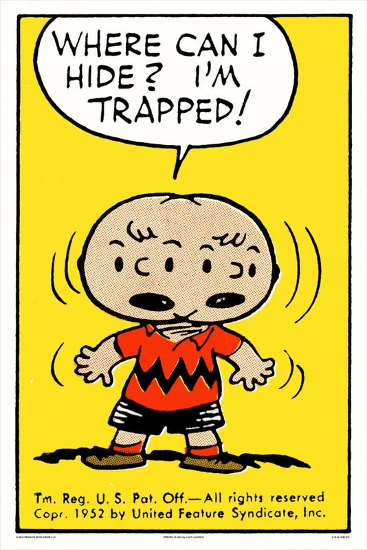 Peanuts Hide Poster