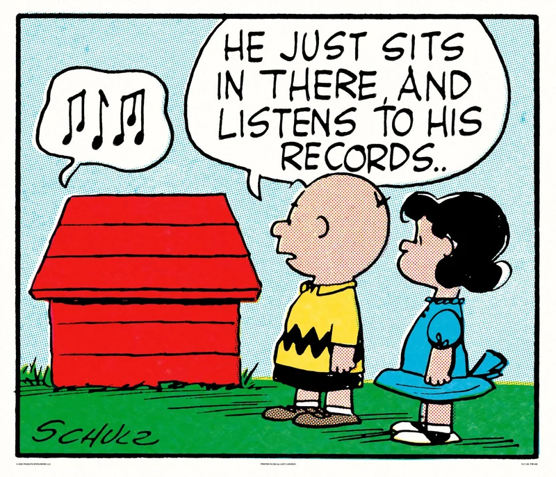 Peanuts Records Poster