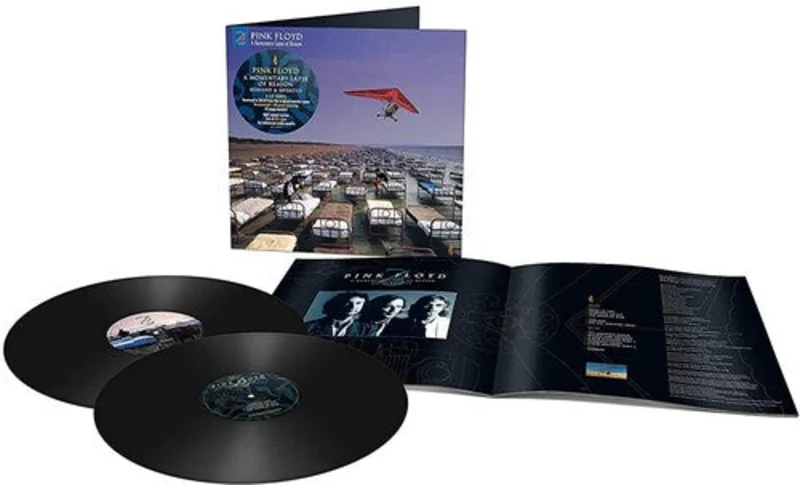 Pink Floyd- A Momentary Lapse Of Reason (Half Speed)
