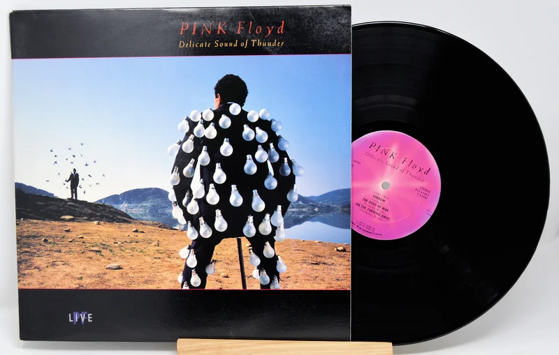 Pink Floyd - Delicate Sound Of Thunder