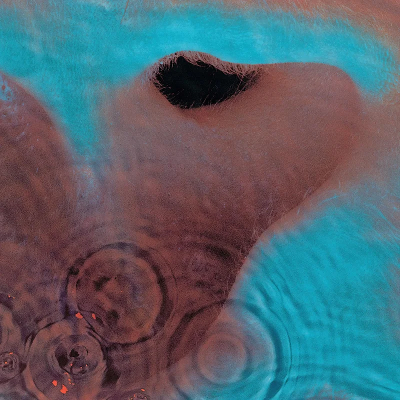 Pink Floyd - Meddle [180g Black Vinyl LP, Textured Gatefold]