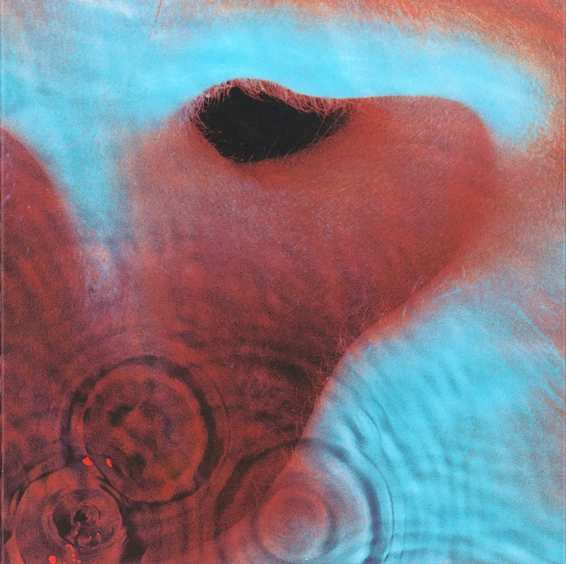 Pink Floyd-Meddle Final Sale