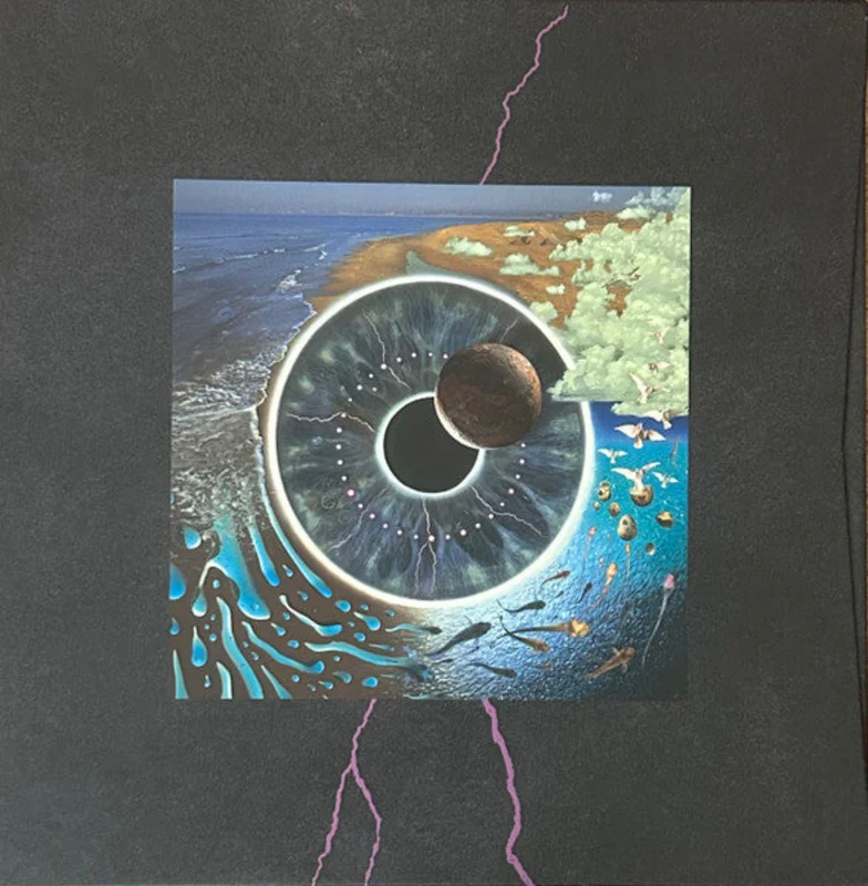 Pink Floyd-Pulse 4xLP Box