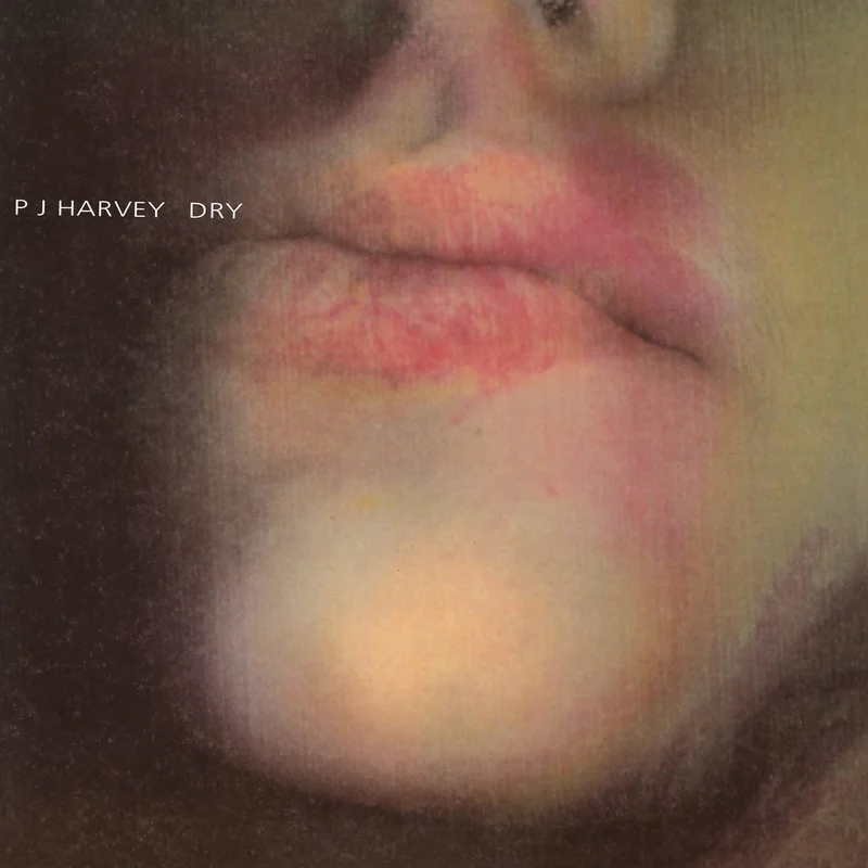 PJ Harvey Dry