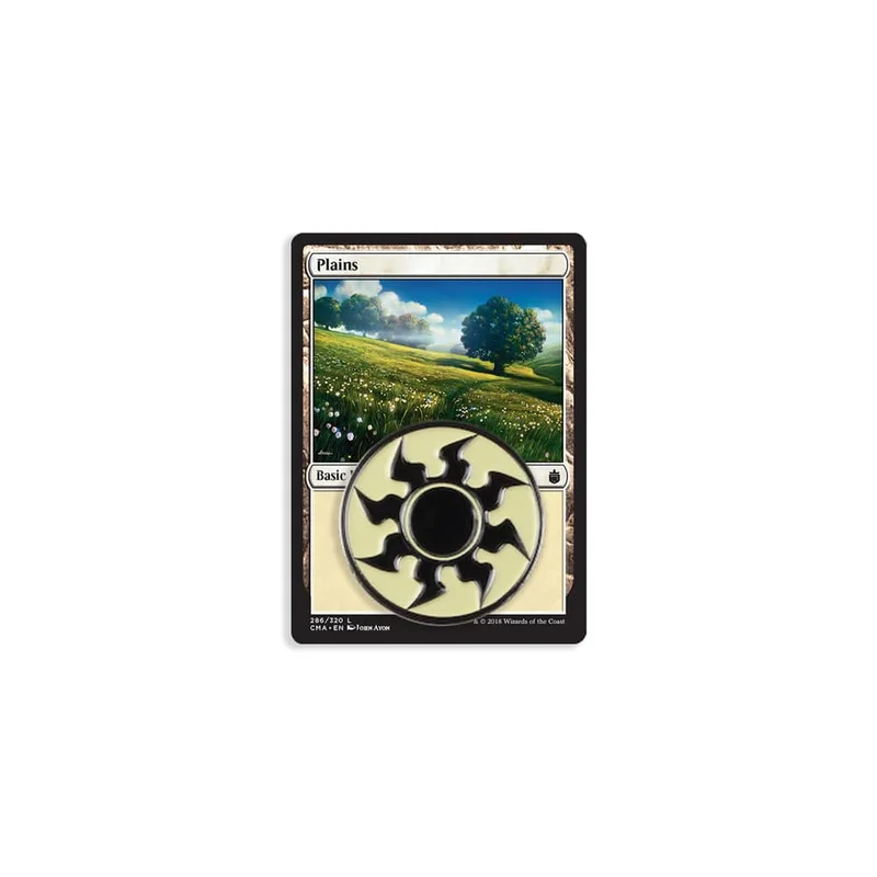 Plains Enamel Pin