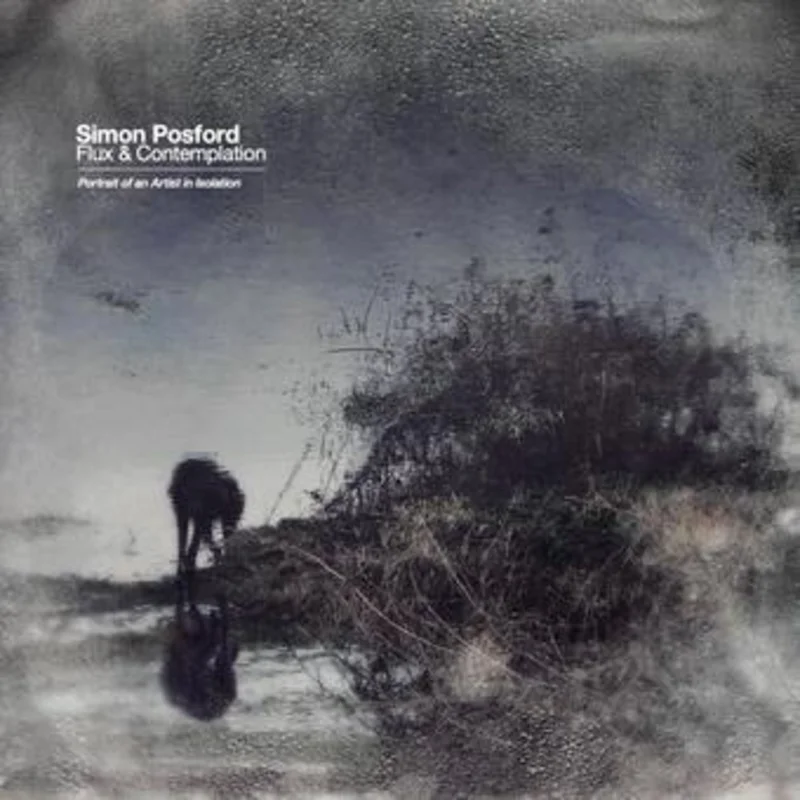 Posford, Simon - Flux & Contemplation: Portrait Of An Artist In Isolation