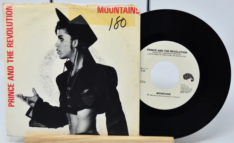 Prince - Mountains / Alexa De Paris