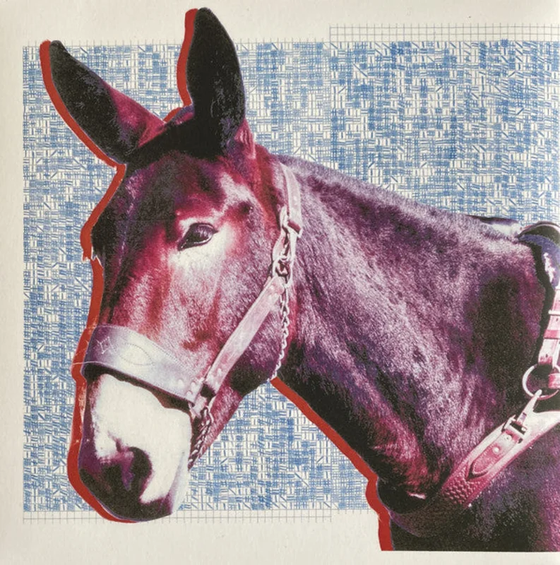Protomartyr (2) | Ultimate Success Today (New)