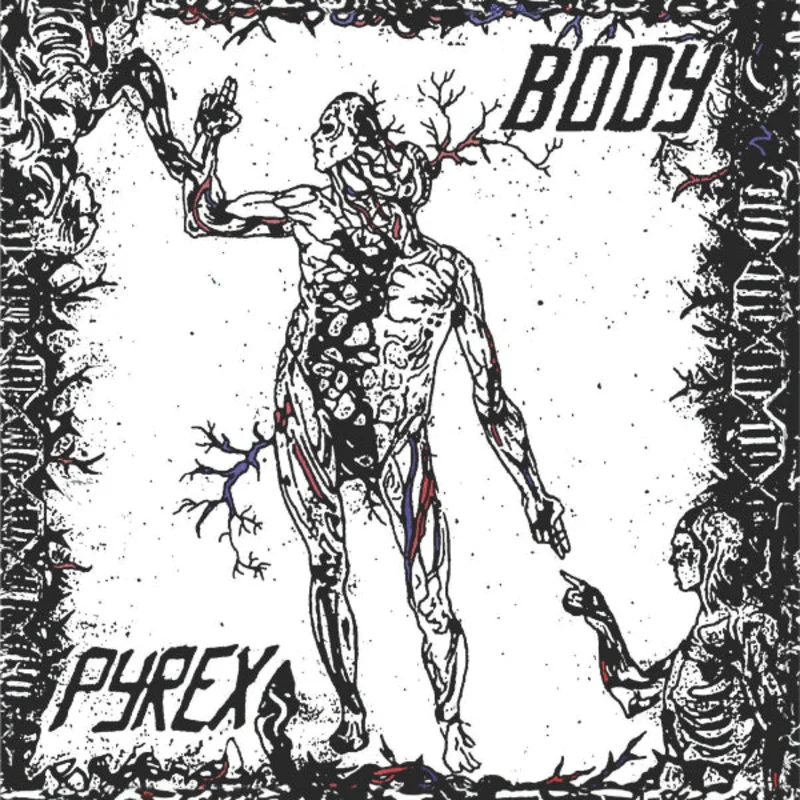 * PYREX- Body LP (second press)