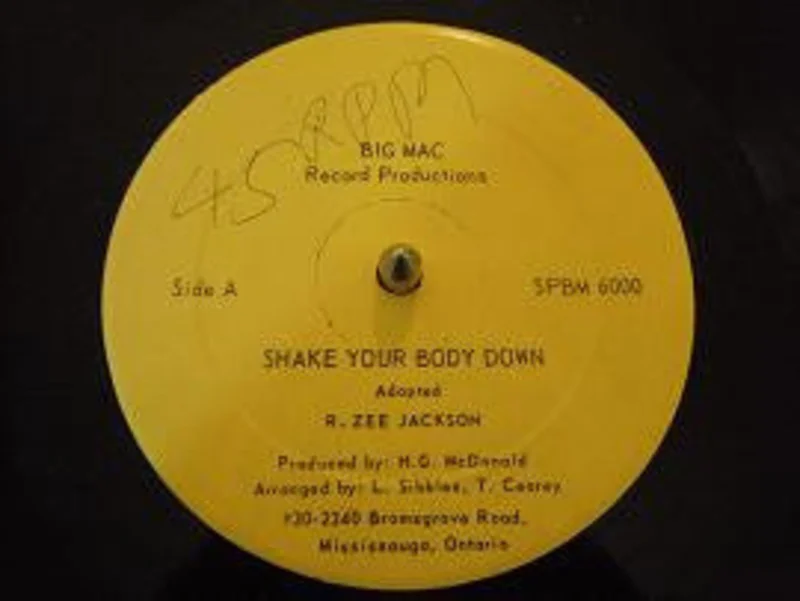 R. Zee Jackson-Shake Your Body Down 12" Single