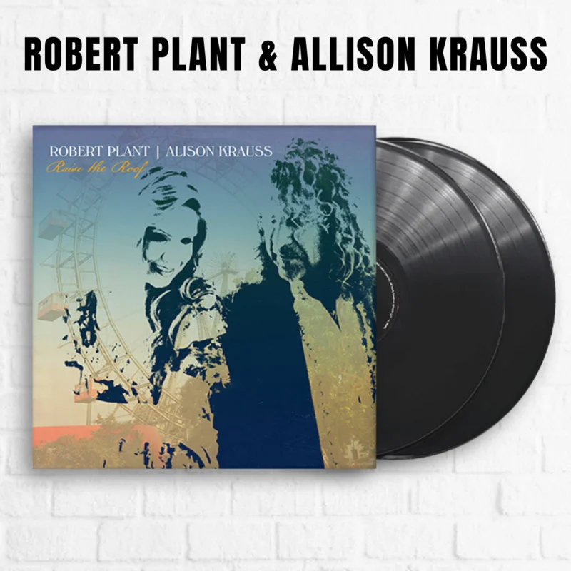 Raise the Roof [2xLP]