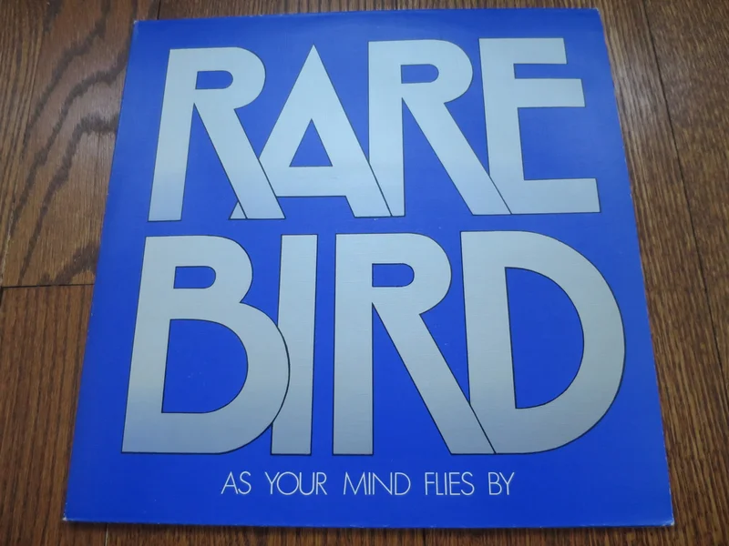 Rare Bird - As Your Mind Flies By