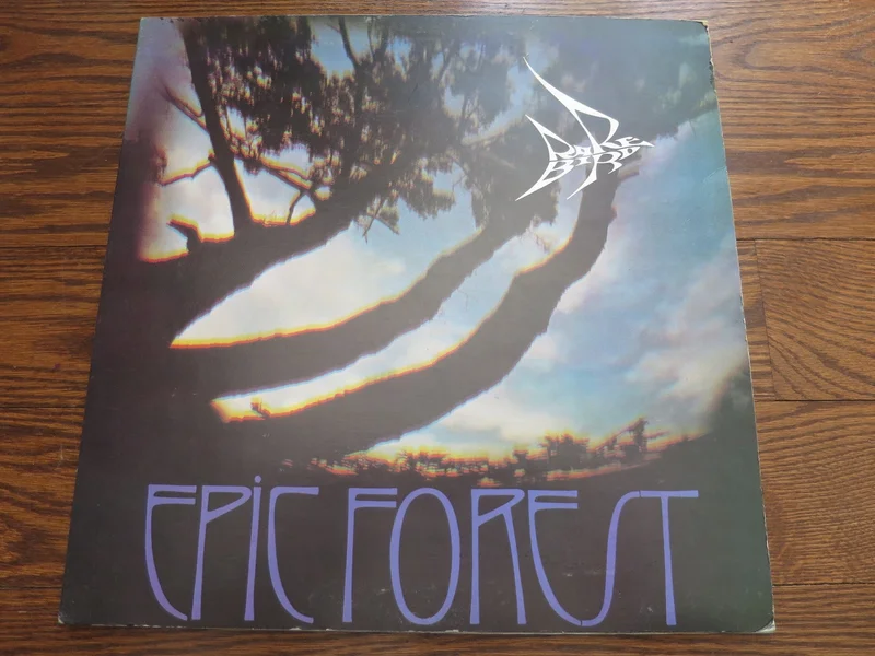 Rare Bird - Epic Forest