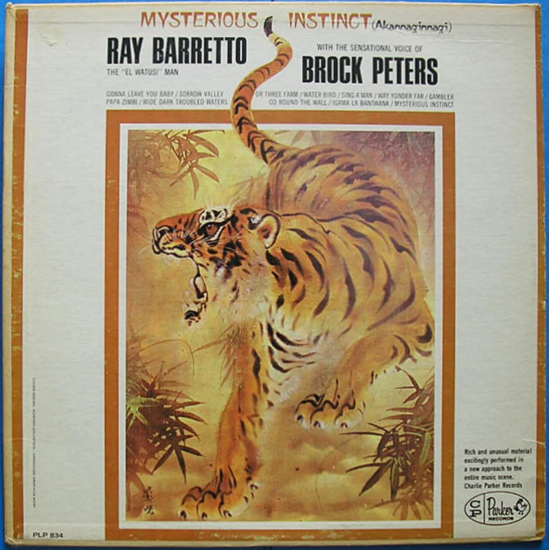 Ray Barretto | Mysterious Instinct