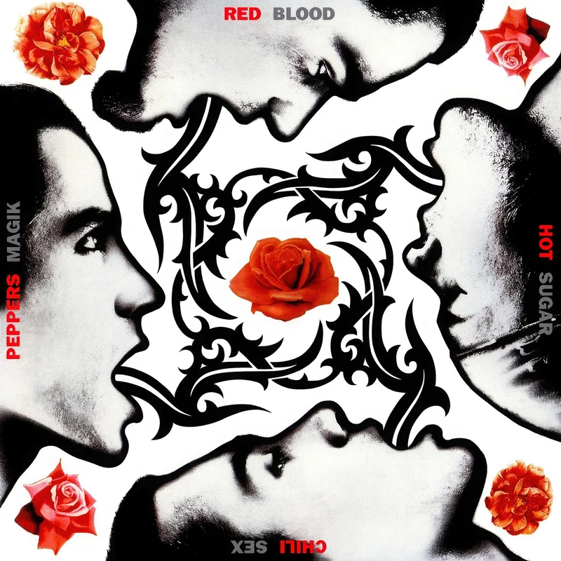 Red Hot Chili Peppers - Blood Sugar Sex Magik [2 LP, 180g Black Vinyl]