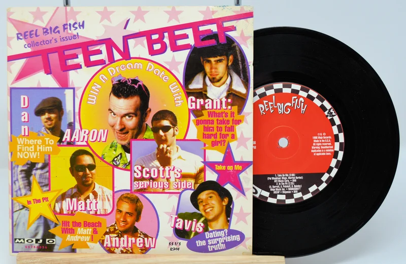 Reel Big Fish - Teen Beef / Tiger Meat