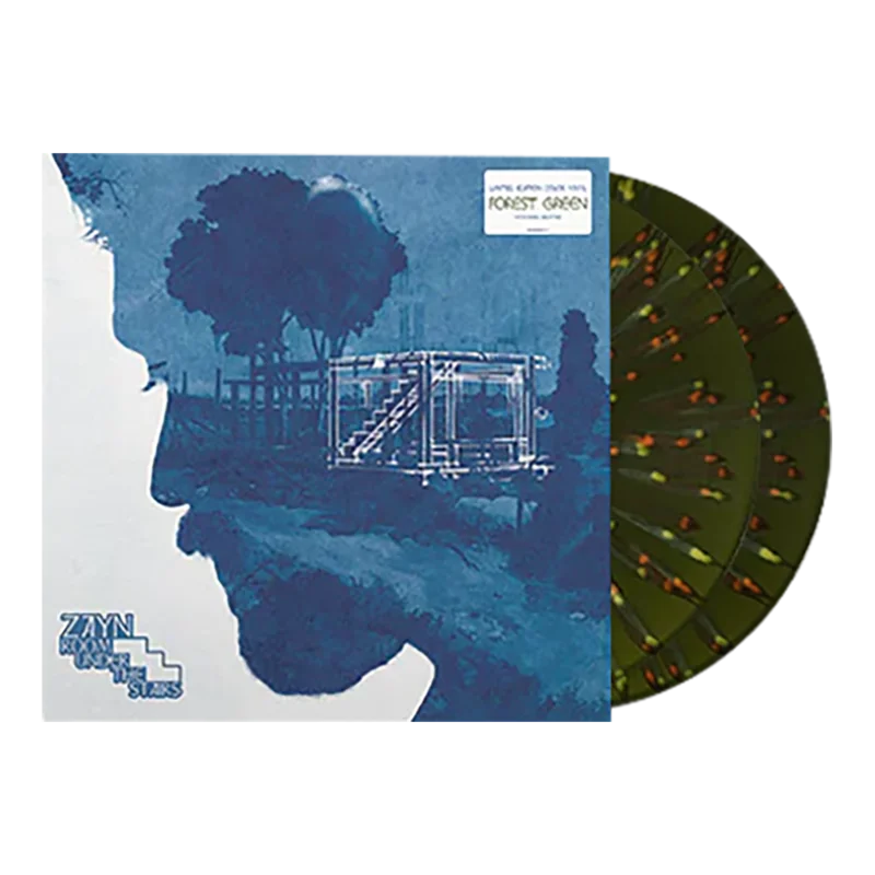 Room Under The Stairs 2LP Vinyl