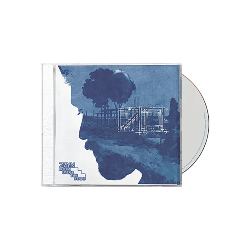 Room Under The Stairs CD