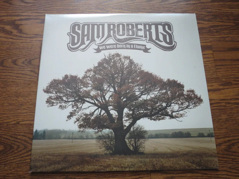 Sam Roberts - We Were Born In A Flame