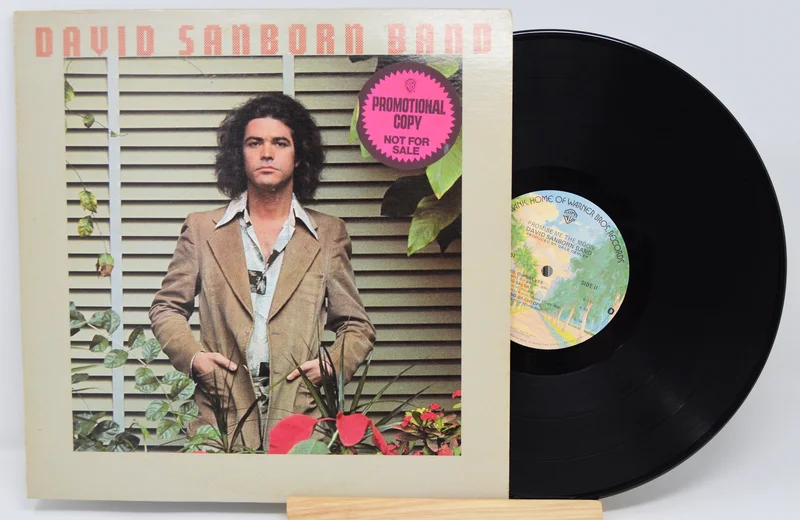 Sanborn, David - Promise Me The Moon