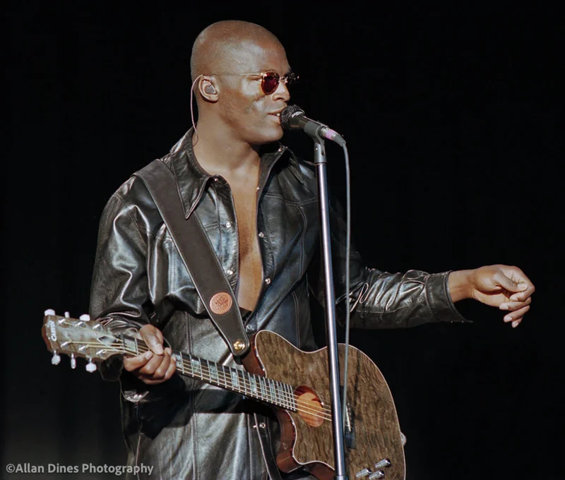 Seal - Photo 2