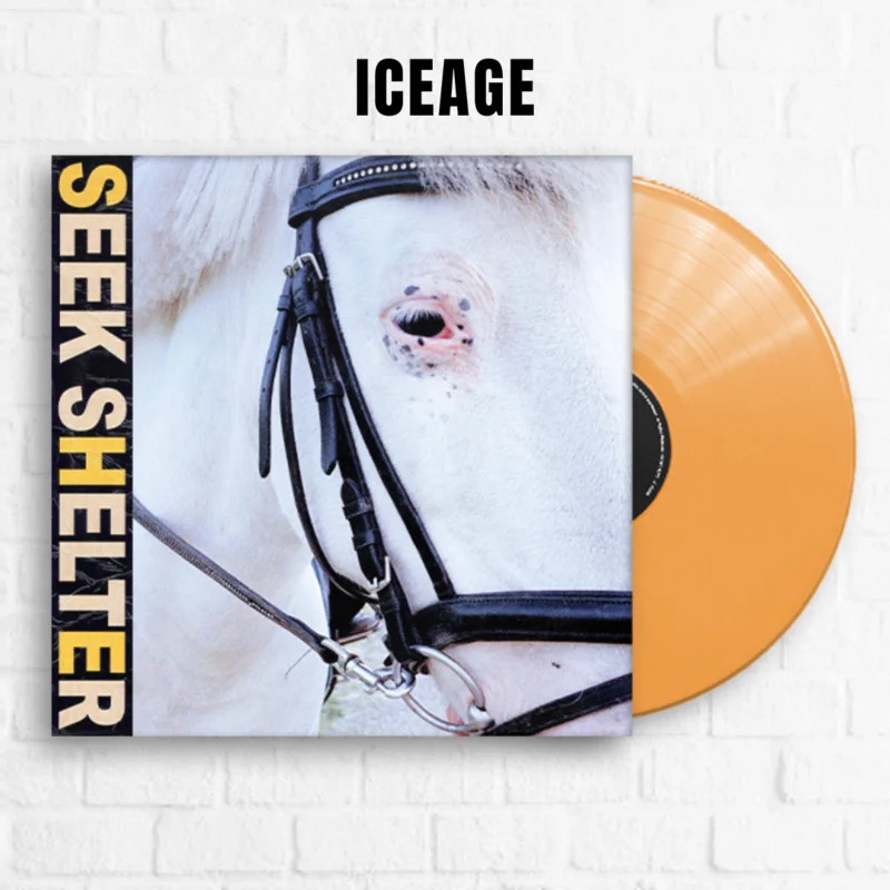Seek Shelter [Limited Orange]