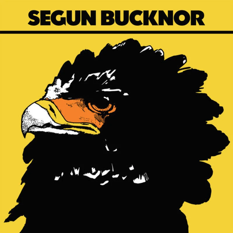 Segun Bucknor | Segun Bucknor (New)