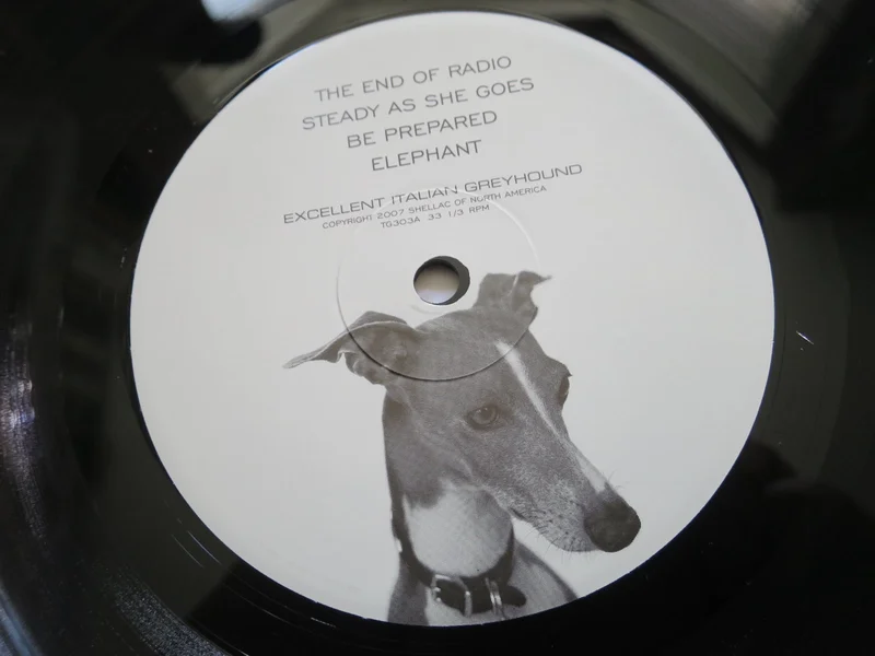 Shellac - Excellent Italian Greyhound