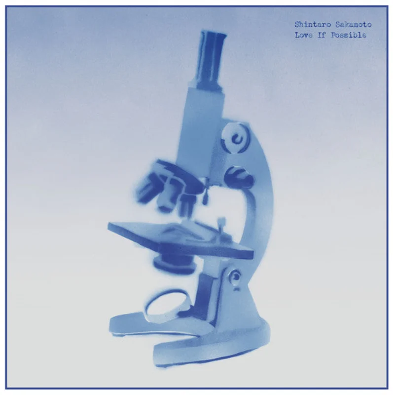 Shintaro Sakamoto | Love If Possible  (New)