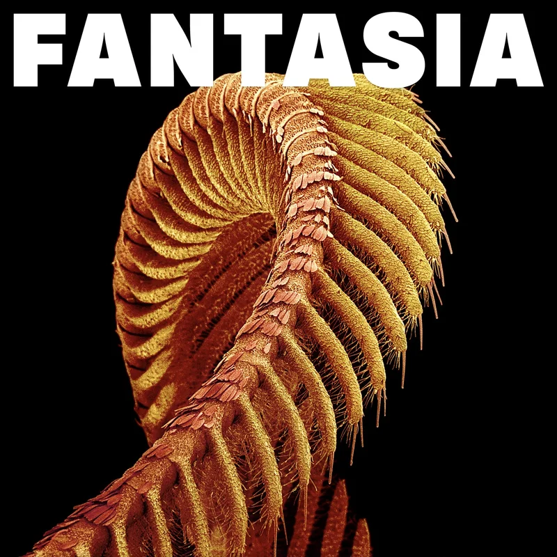 SLIFT - Fantasia